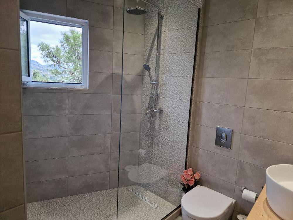 Apartment Solymar Prive *